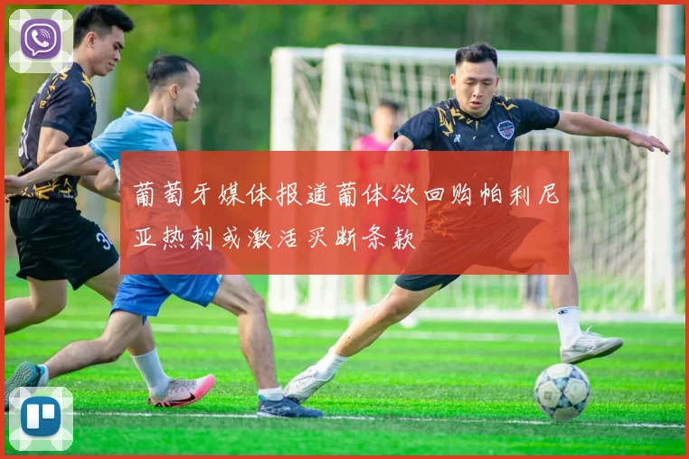 葡萄牙媒体报道葡体欲回购帕利尼亚热刺或激活买断条款