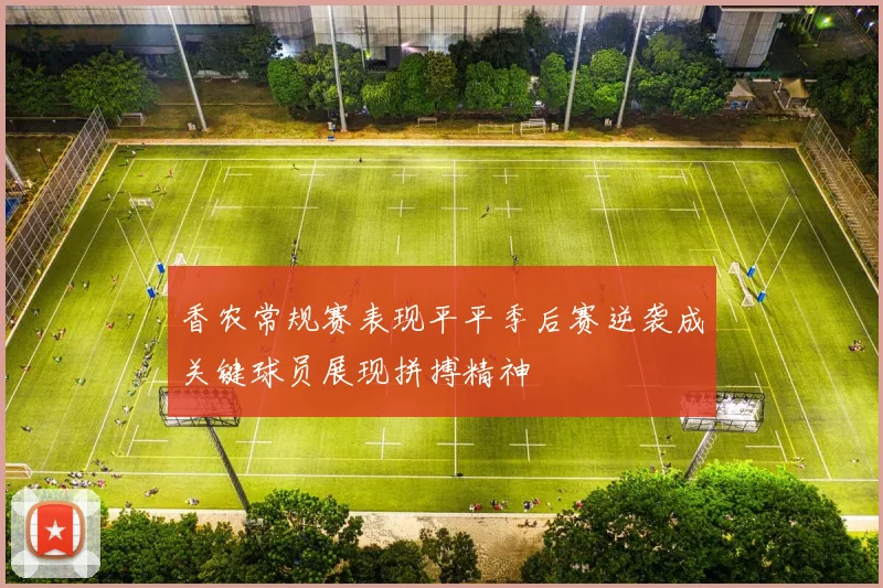香农常规赛表现平平季后赛逆袭成关键球员展现拼搏精神